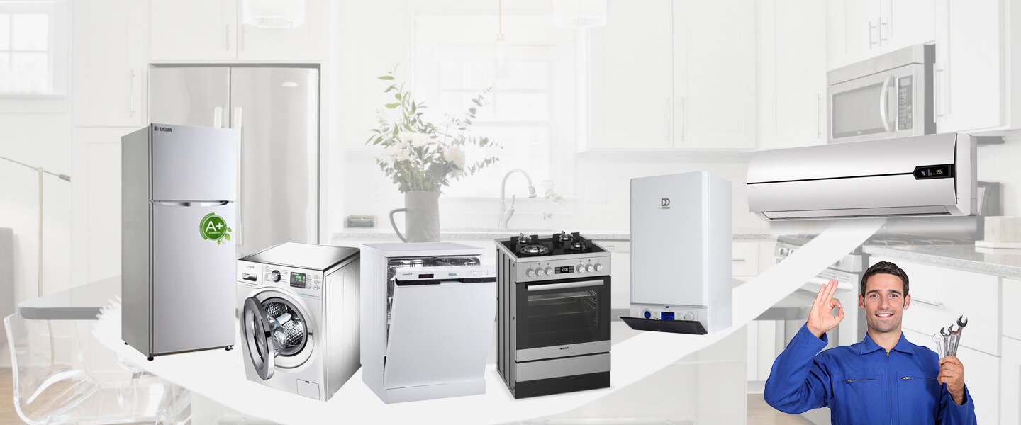 Çay Electrolux Servisi